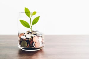 plant in money jar on table